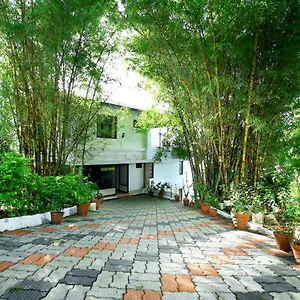 Homestay Magic